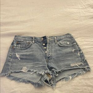 Agolde Parker Vintage Cutoff Shorts in Swampmeet